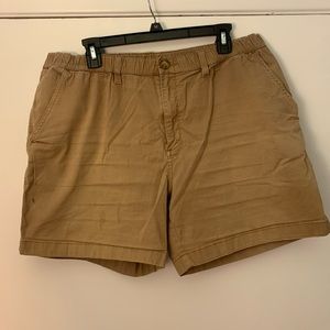 Chubbies khaki shorts